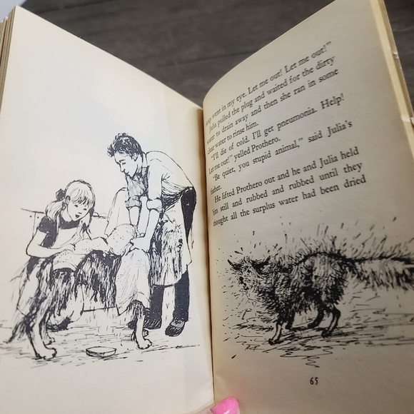 Vintage 70s Scholastic Paperback The Amazing Mr. Prothero by Honor Arundel - Picture 10 of 13